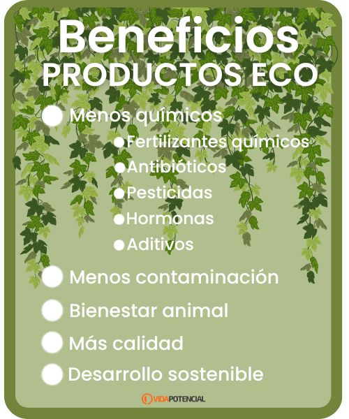 Beneficios de los productos ecológicos o bio 2