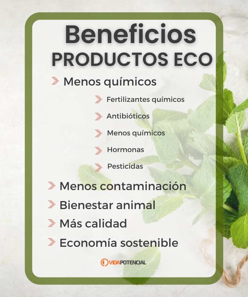 beneficios productos eco