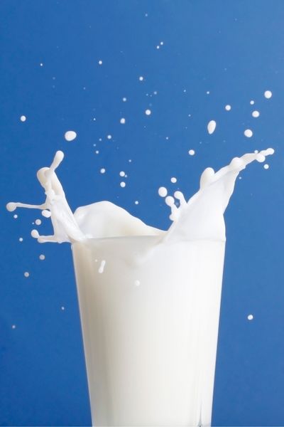 Lácteos: Intolerancias, quesos, kéfir y más