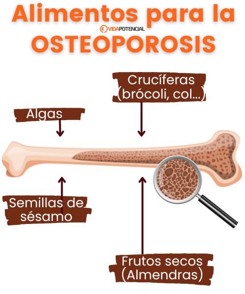 alimentos para osteoporosis