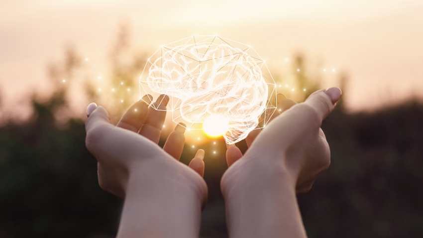 Neuroplasticidad: 5 trucos para mejorar nuestro cerebro