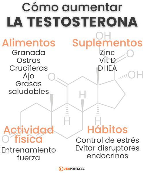 4 formas de aumentar la testosterona de manera natural 2