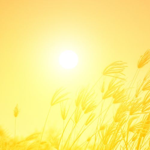 Beneficios de la exposición al sol