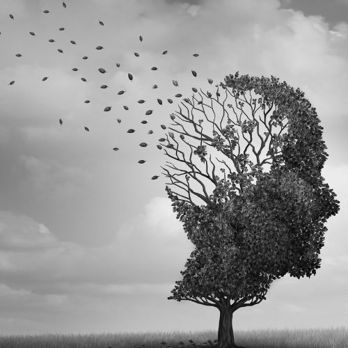 Qué hacer ante la enfermedad de Alzheimer