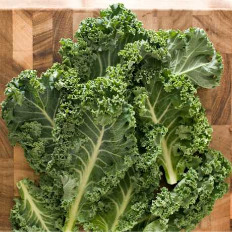 Verdura Kale: qué es, propiedades y cómo tomarla 11
