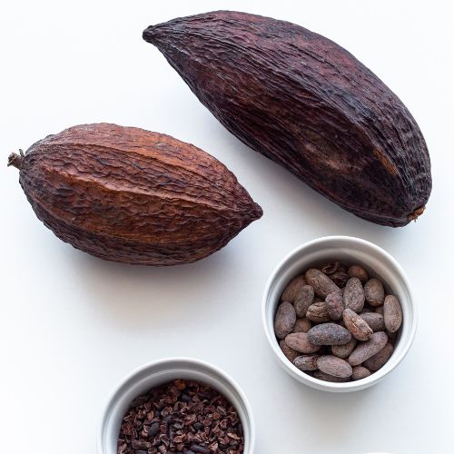 Cacao: el alimento de los dioses