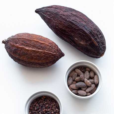 Propiedades cacao