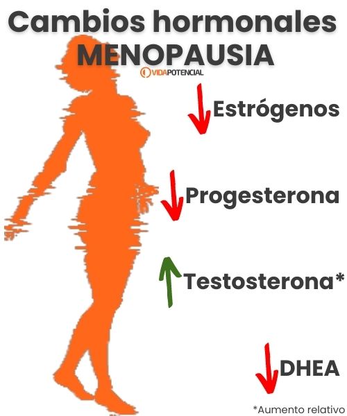 cambios hormonales menopausia