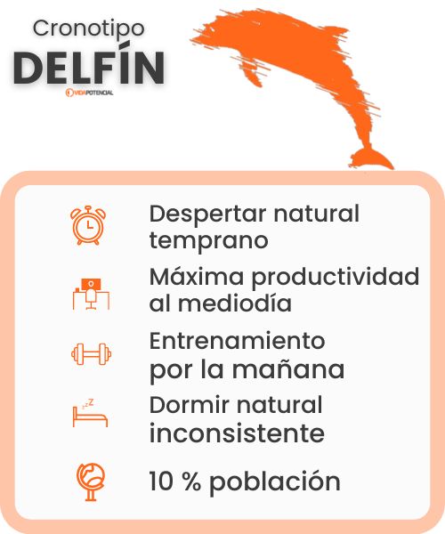 Cronotipo Delfin