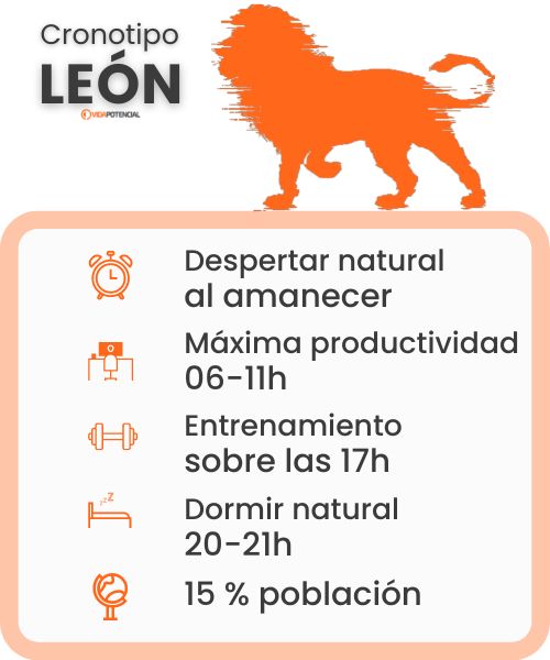Cronotipo leon