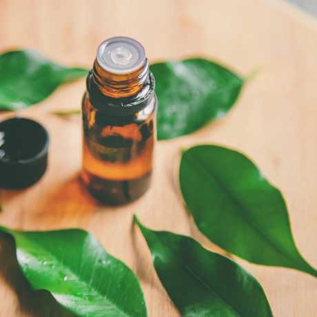 usos aceite arbol del te