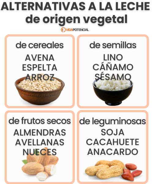 tipos leches vegetales