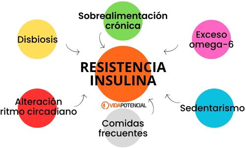causas resistencia insulina