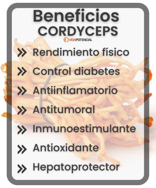 propiedades del cordyceps