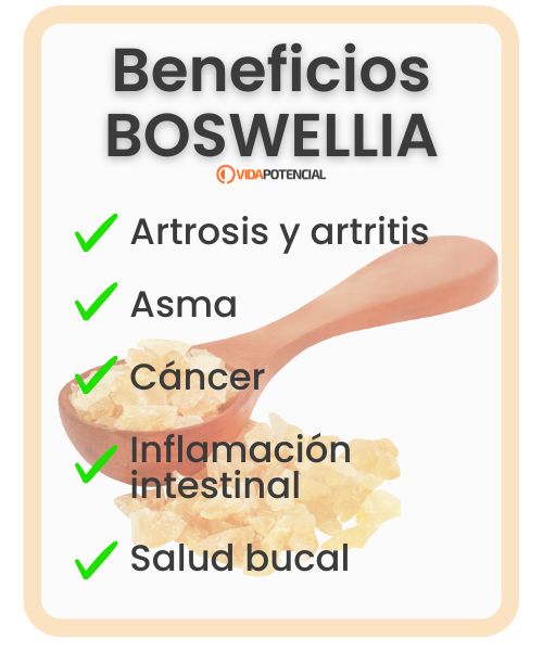Boswellia, el gran antiinflamatorio natural 2