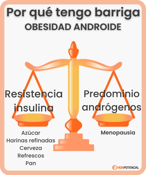 causas obesidad androide