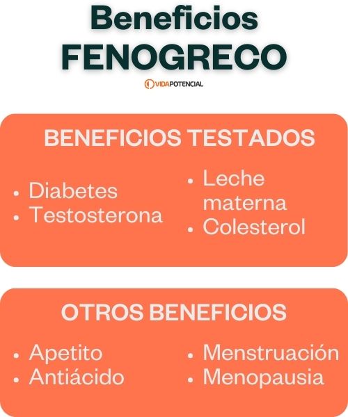 Fenogreco 2